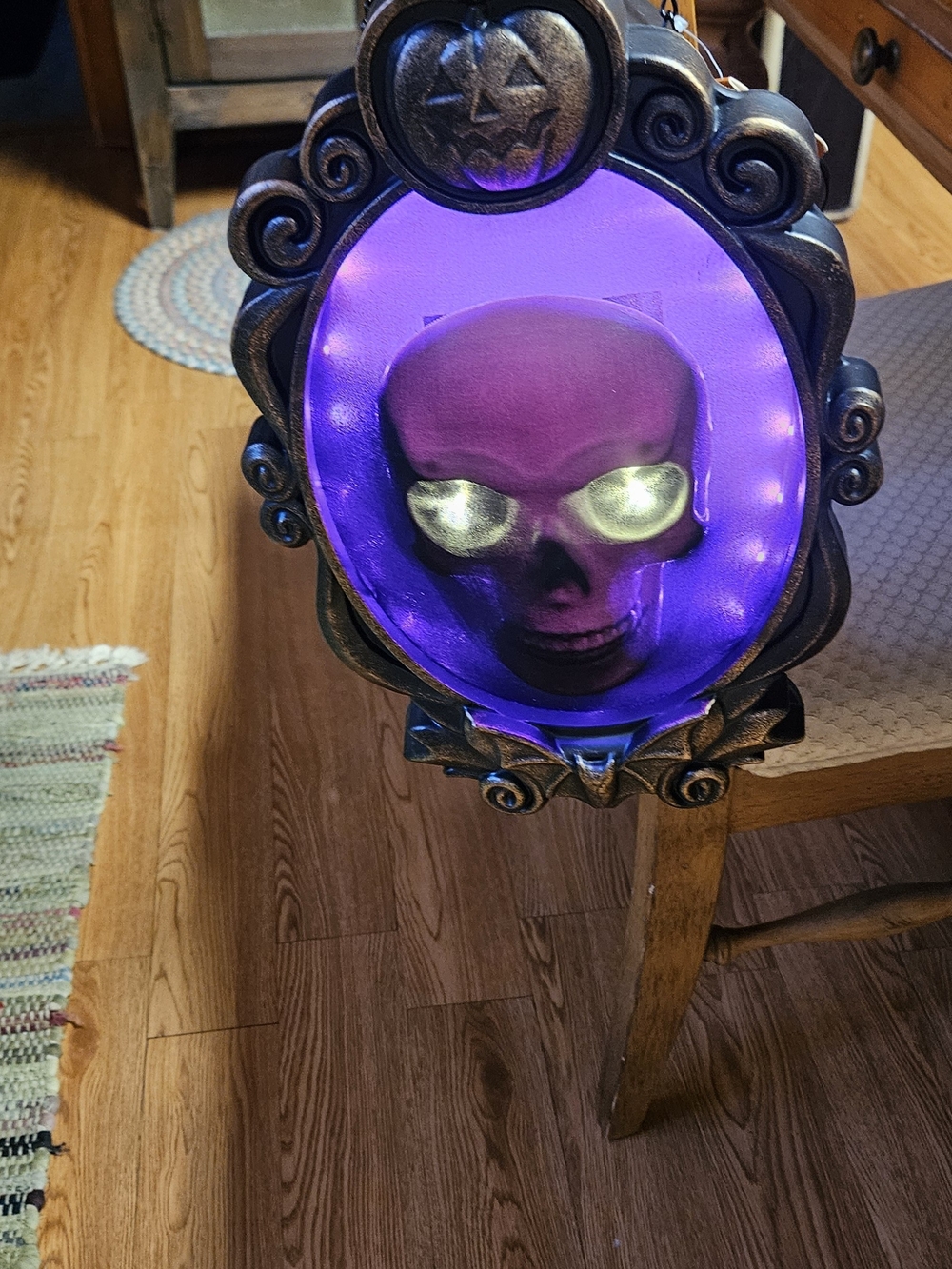 Target Purple LED Skull Mirror Halloween Decor